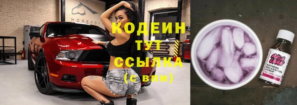 крисы Лабытнанги