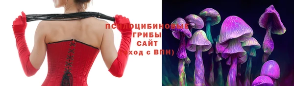 ГАЛЛЮЦИНОГЕННЫЕ ГРИБЫ Абаза