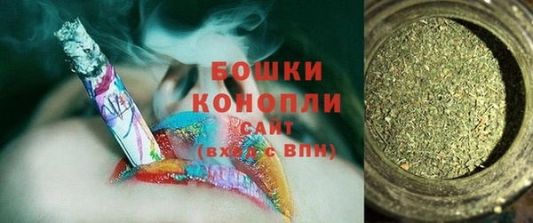 ГАЛЛЮЦИНОГЕННЫЕ ГРИБЫ Абаза