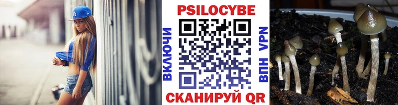 Псилоцибиновые грибы Cubensis  дарнет шоп  Химки 