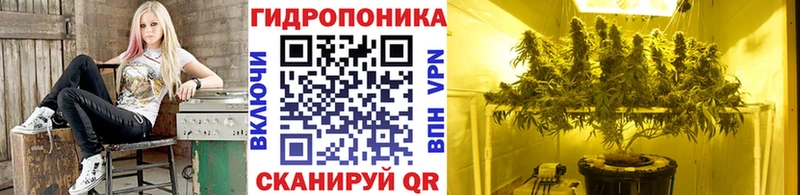 купить   OMG зеркало  Канабис SATIVA & INDICA  Химки 
